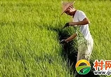 全国政协委员张亚忠：建议对农民实行退休转业补贴!请转发支持!