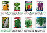 蔬菜种子订购
